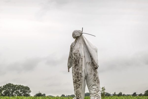 Scarecrow in a green field in a cloudy day